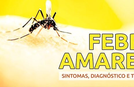 Febre amarela